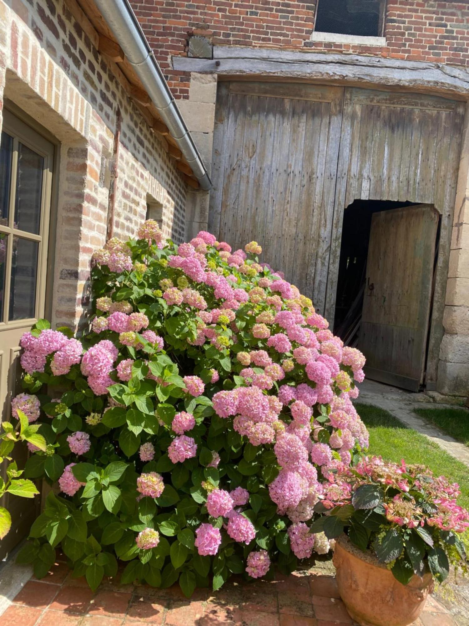Les Hortensias Canly Exteriör bild